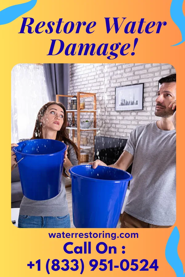 water restoration Southern Water Repair Network Santa Rosa