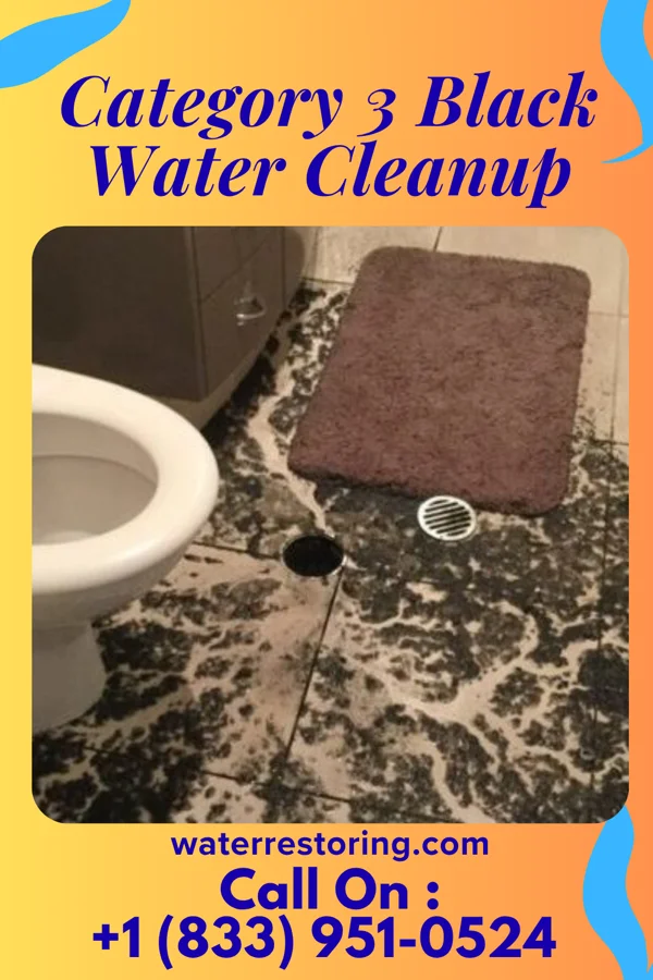 Category 3 Black Water Cleanup in Santa Rosa, TX