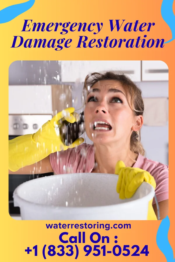 Emergency Water Damage Restoration in Santa Rosa, TX